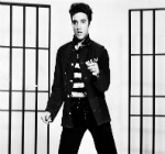 elvis