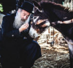 שולי רנד